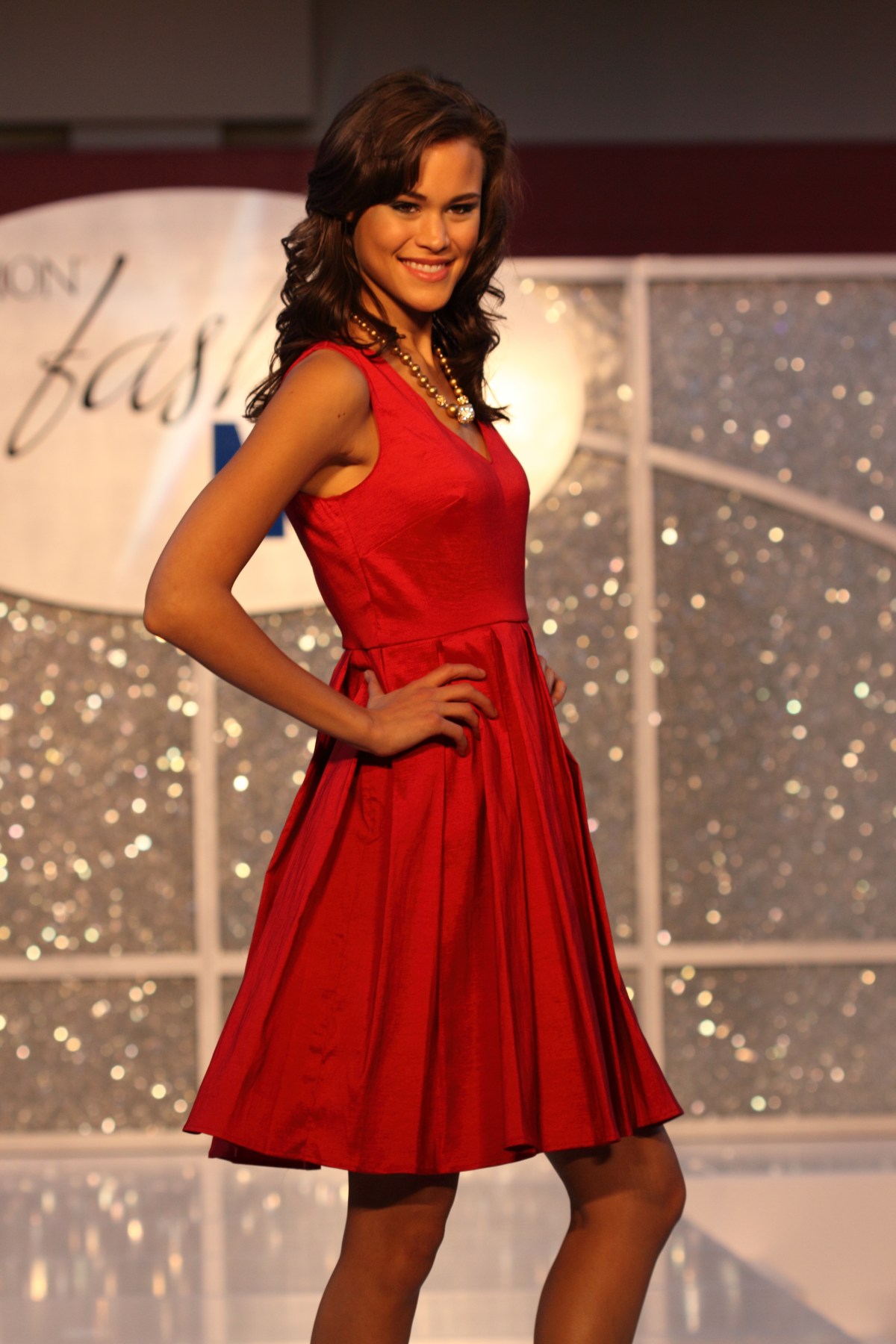 Chapter 12 – The Girl In The Red&nbsp;Dress